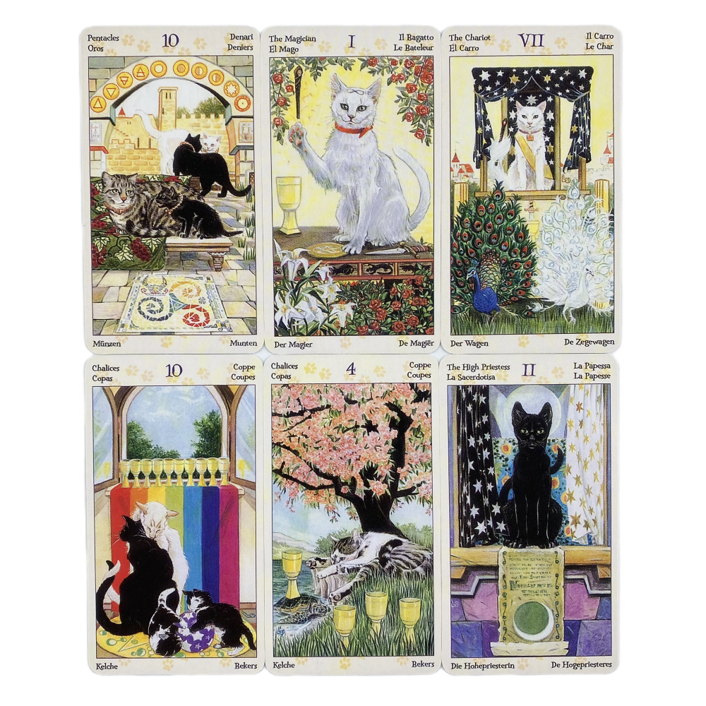 78 Cards Deck Tarot Of Pagan C - Board Game Oracle recension och pris
