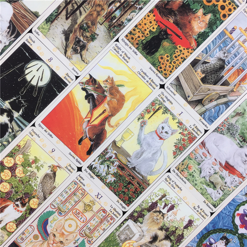 78 Cards Deck Tarot Of Pagan C - Board Game Oracle recension och pris