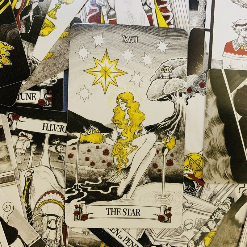Secret Mirror Tarot cards 80 d - Board Game Oracle recension och pris