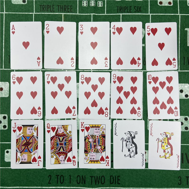 New 2pcs Playing Cards  Plasti - Board Game Yearbook recension och pris