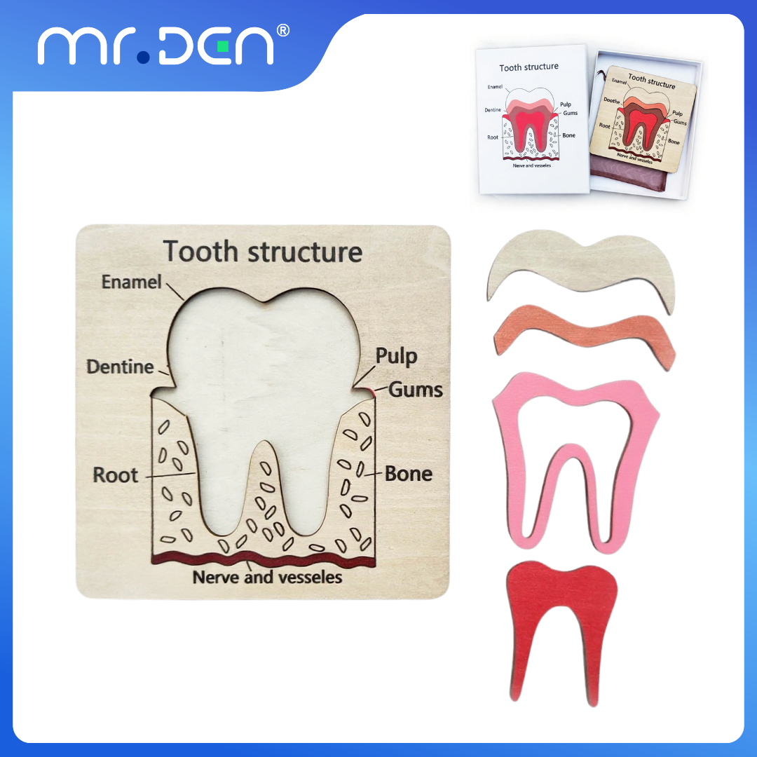 Dental Exploration Game Tooth  - Board Game For Kids recension och pris