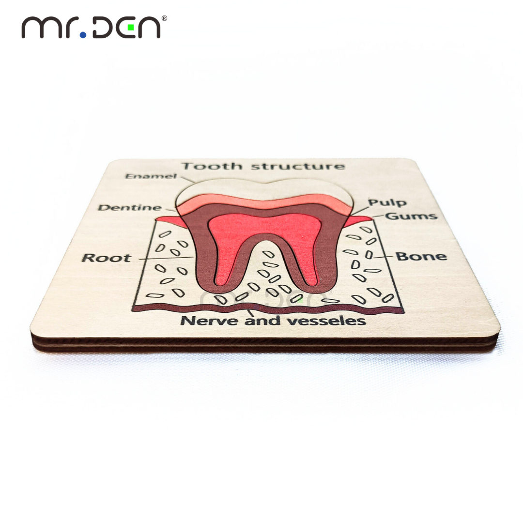 Dental Exploration Game Tooth  - Board Game For Kids recension och pris
