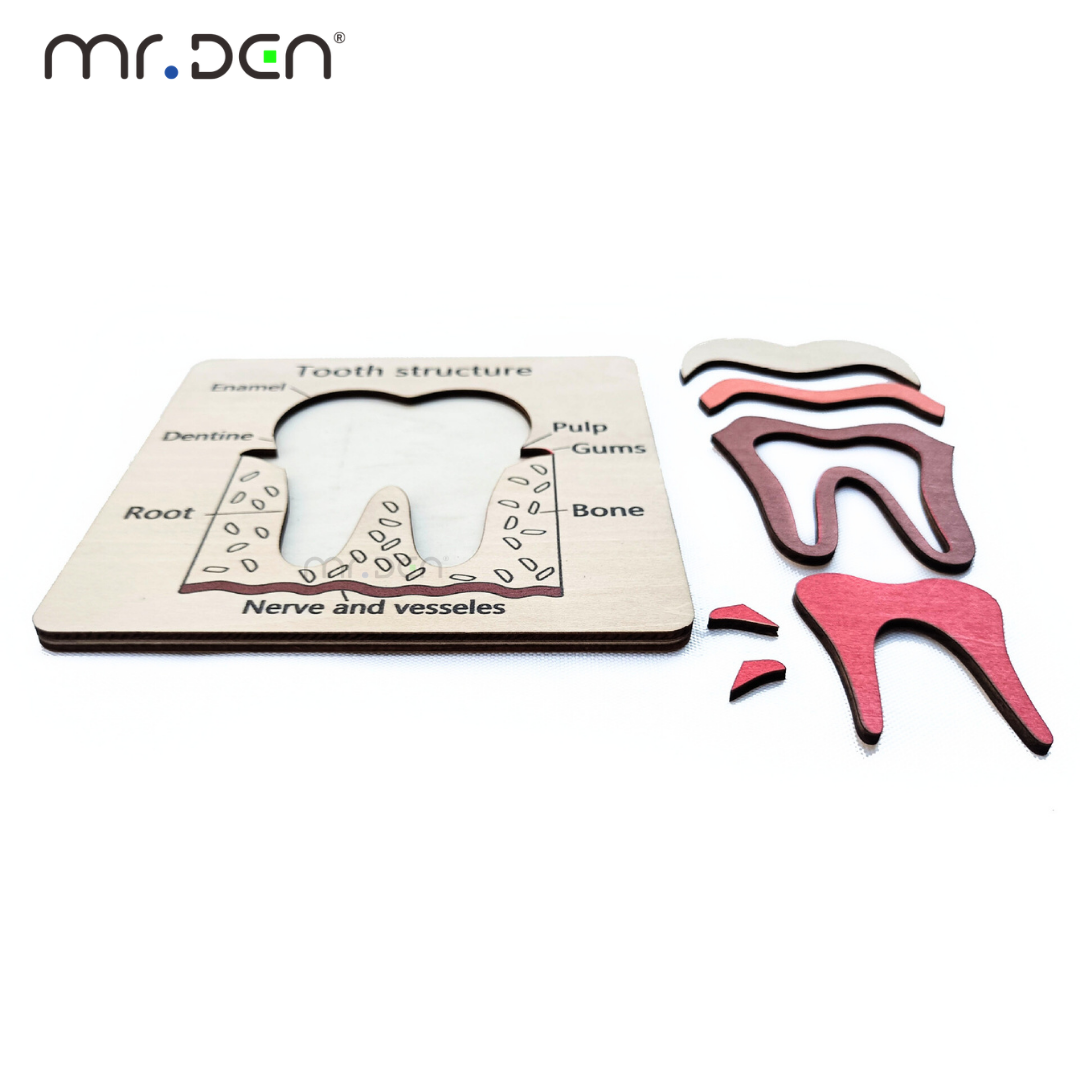 Dental Exploration Game Tooth  - Board Game For Kids recension och pris