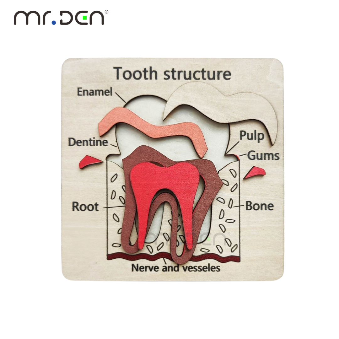 Dental Exploration Game Tooth  - Board Game For Kids recension och pris
