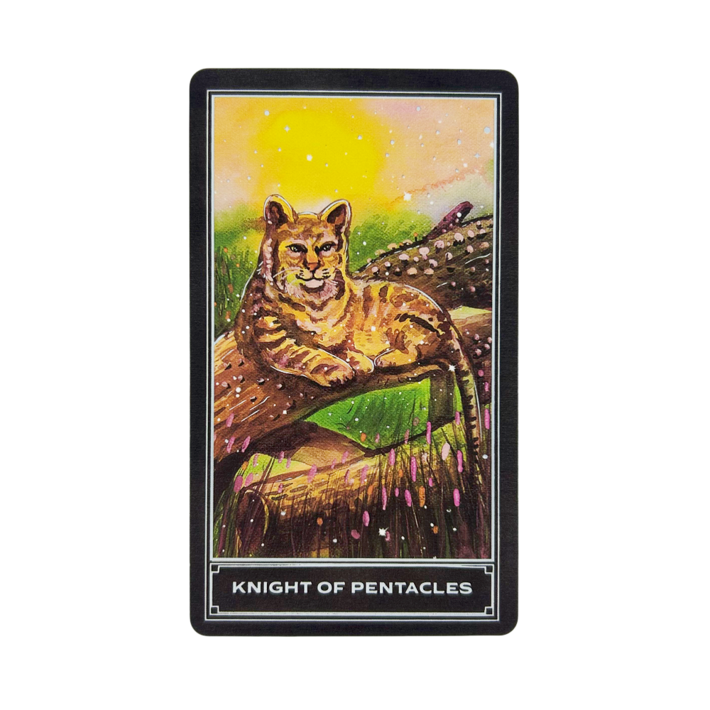 The Enchanting Earth Tarot Car - Board Game Inspiration recension och pris