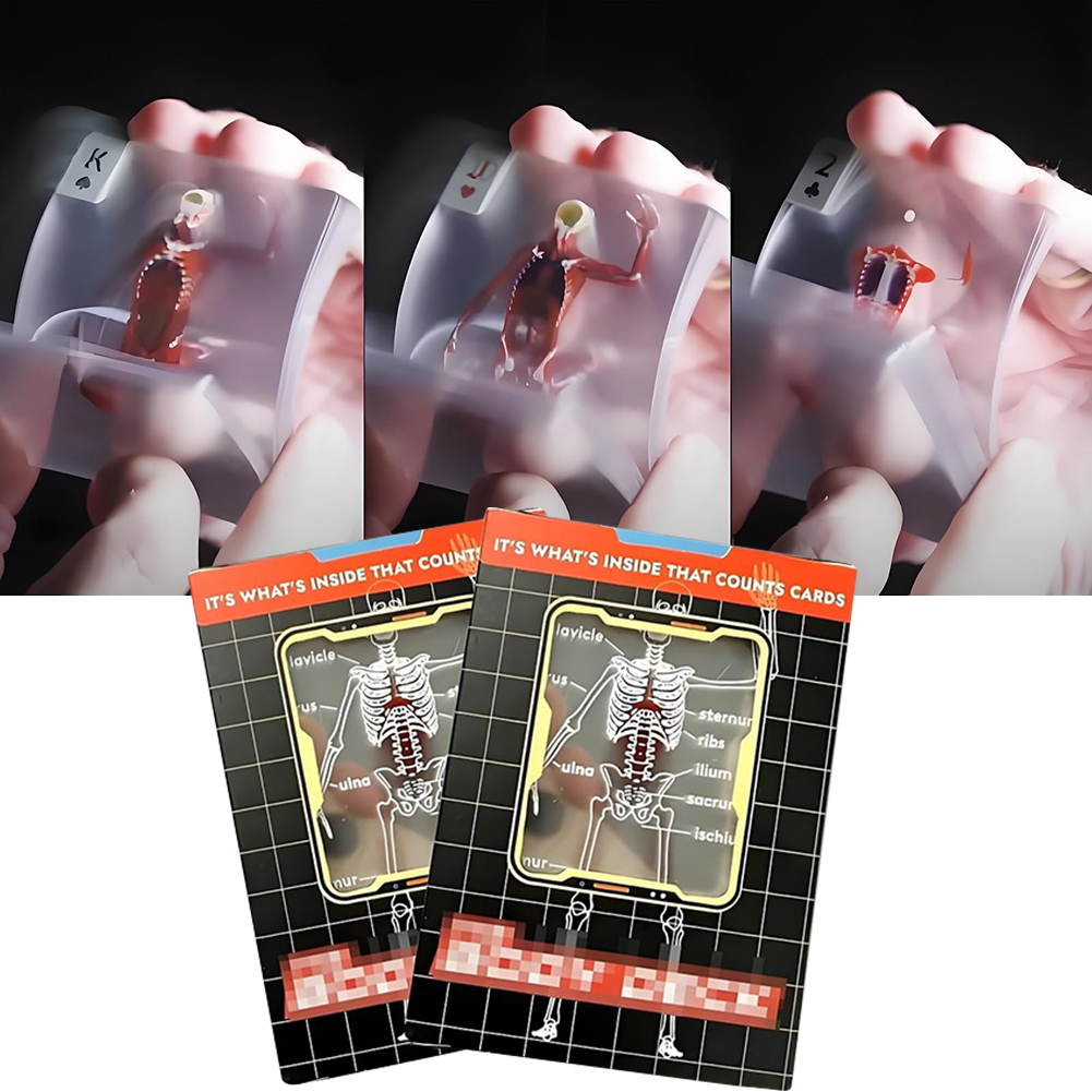 The Body Deck Mannequin Body D - Board Game Design recension och pris