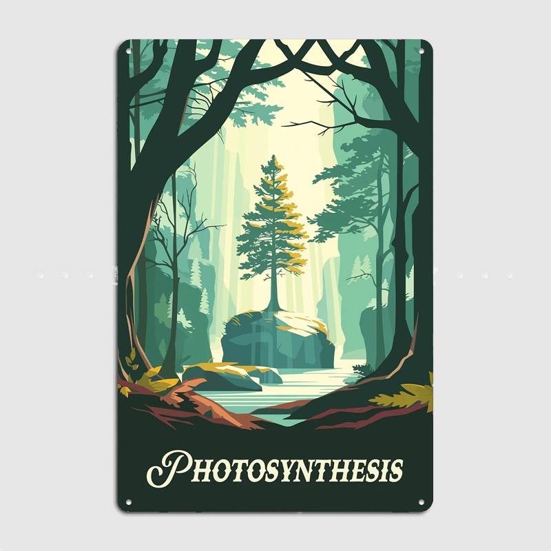 Photosynthesis Board Game Insp - Board Game Inspiration recension och pris